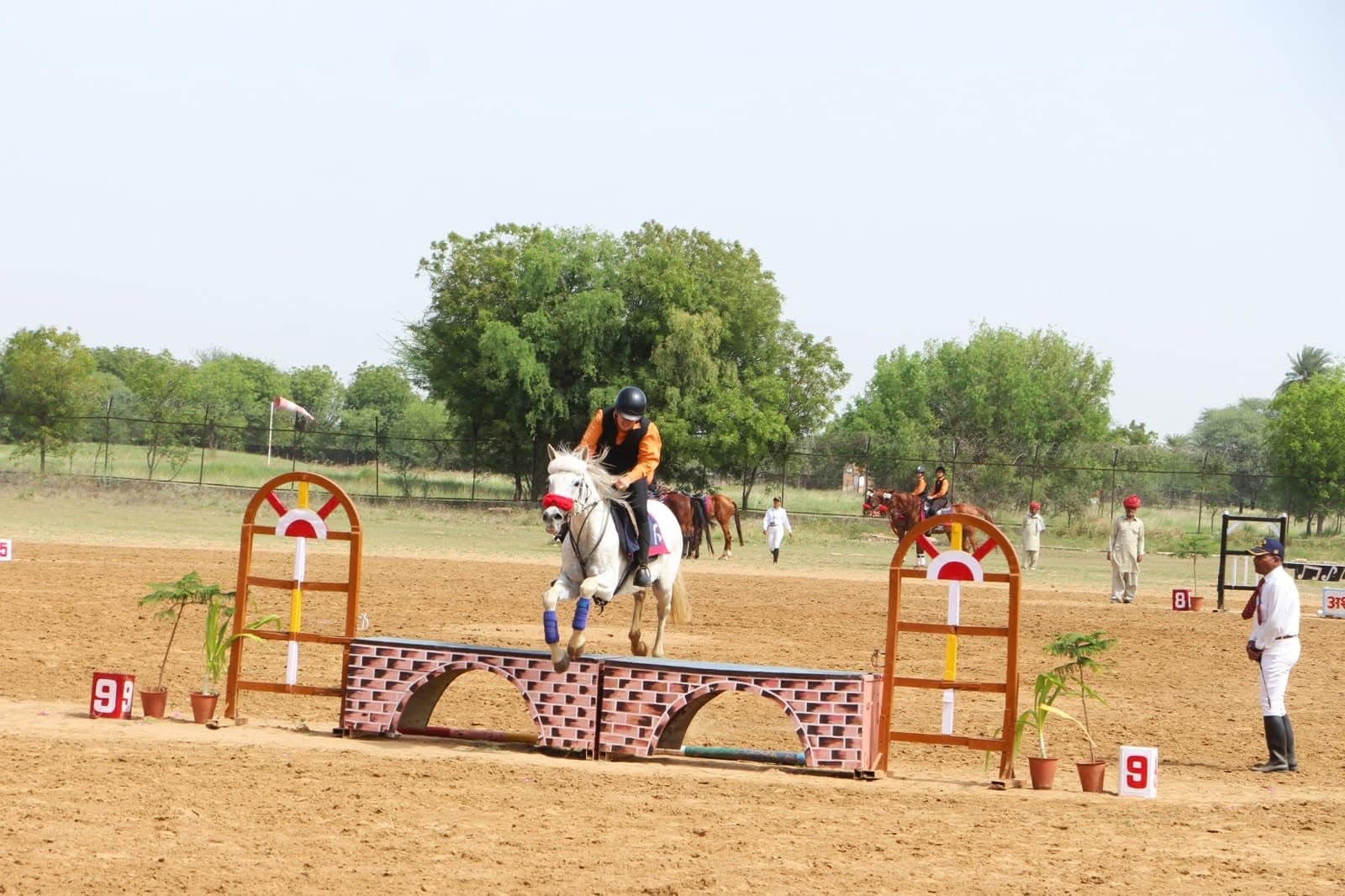 Horse